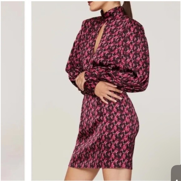 Ronny kobo keyhole Pink Patterned Dress - Picture 2 of 10